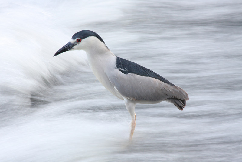 IMAGE: http://funhouse69.smugmug.com/photos/315095435_fb5Yw-L.jpg