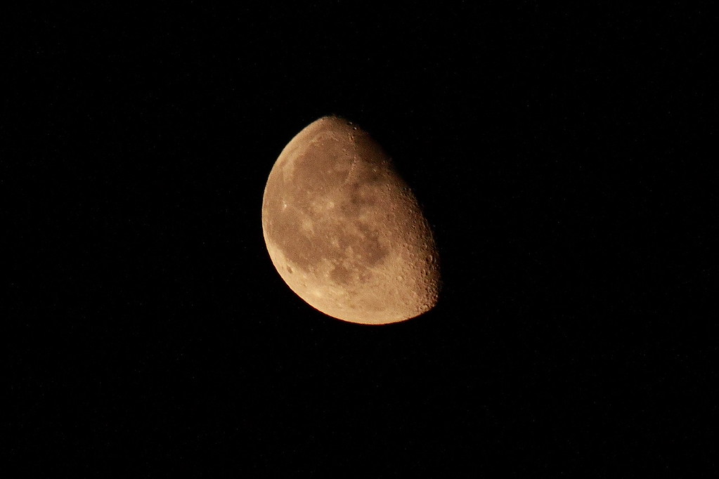 IMAGE: http://funhouse69.smugmug.com/photos/356499844_97qPw-XL.jpg