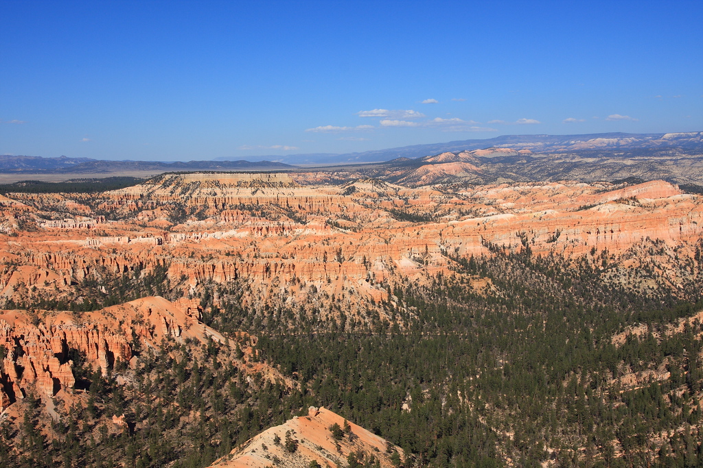 IMAGE: http://funhouse69.smugmug.com/photos/411217288_etpuL-XL.jpg