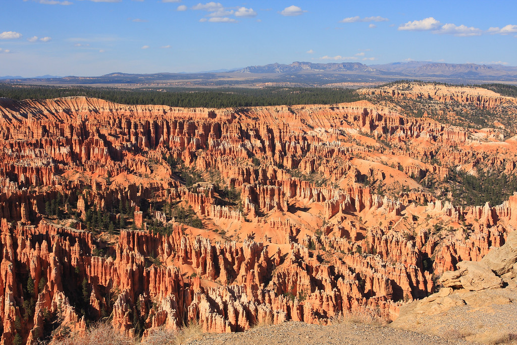 IMAGE: http://funhouse69.smugmug.com/photos/411218845_MGtSF-XL.jpg