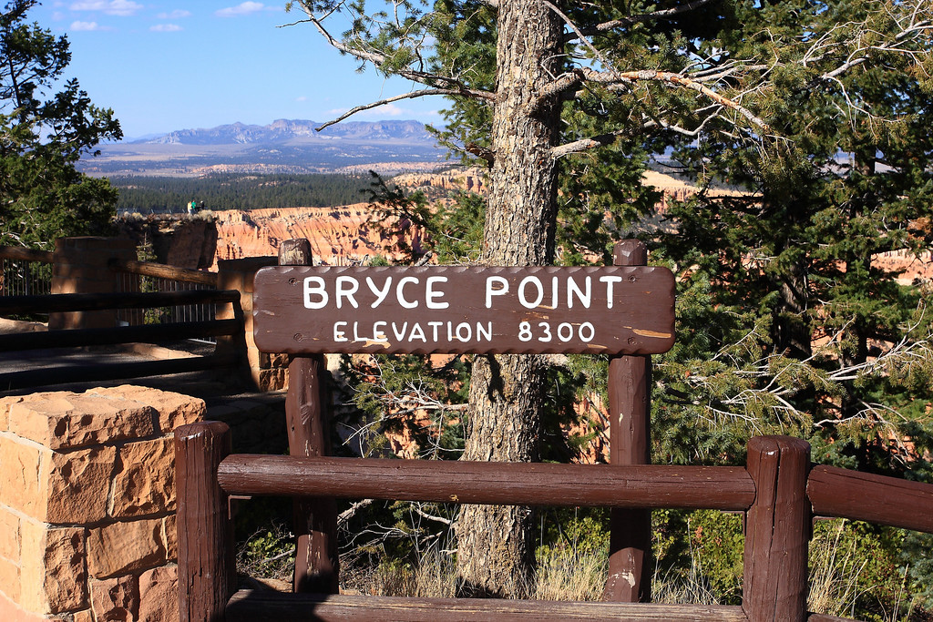 IMAGE: http://funhouse69.smugmug.com/photos/411219396_YhWkz-XL.jpg