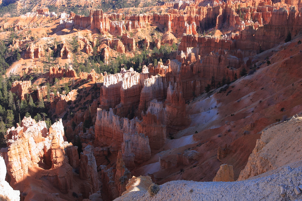 IMAGE: http://funhouse69.smugmug.com/photos/411222017_hrCyt-XL.jpg