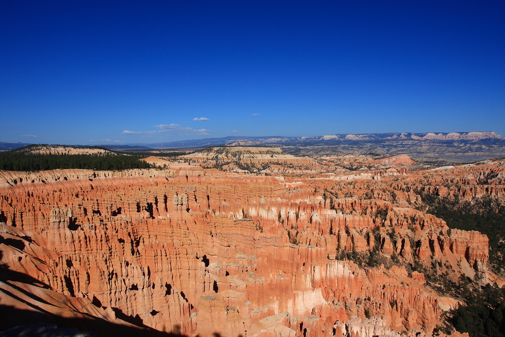 IMAGE: http://funhouse69.smugmug.com/photos/411225072_7j9L8-XL.jpg