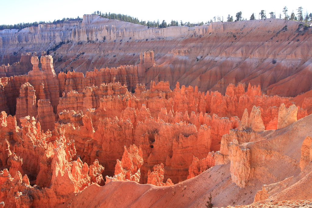 IMAGE: http://funhouse69.smugmug.com/photos/411289197_AVedq-XL.jpg