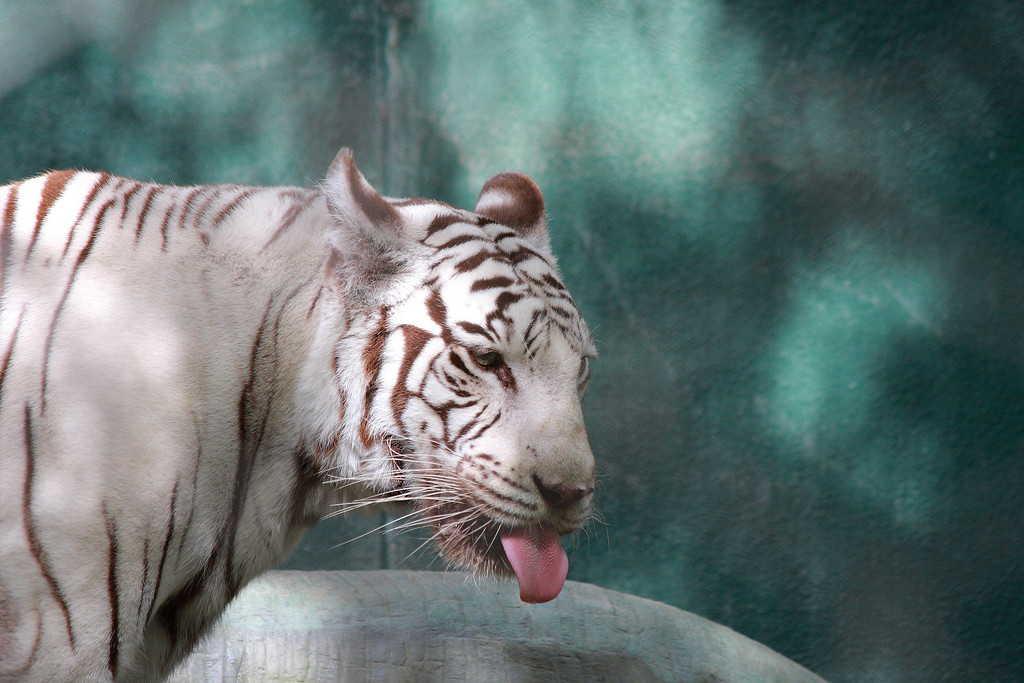 IMAGE: http://funhouse69.smugmug.com/photos/413021239_bYK94-XL.jpg