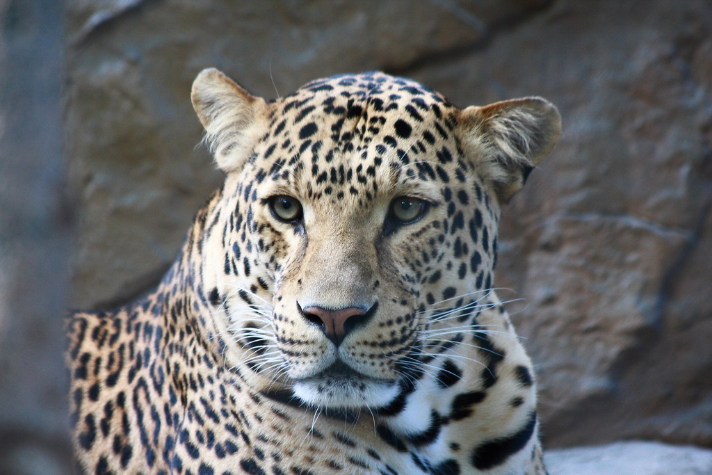 IMAGE: http://funhouse69.smugmug.com/photos/413028993_kzBQT-XL.jpg