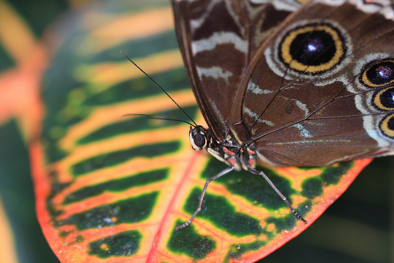 IMAGE: http://funhouse69.smugmug.com/photos/423431807_Q5wAa-L.jpg