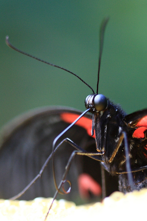 IMAGE: http://funhouse69.smugmug.com/photos/448423623_i59rv-XL.jpg