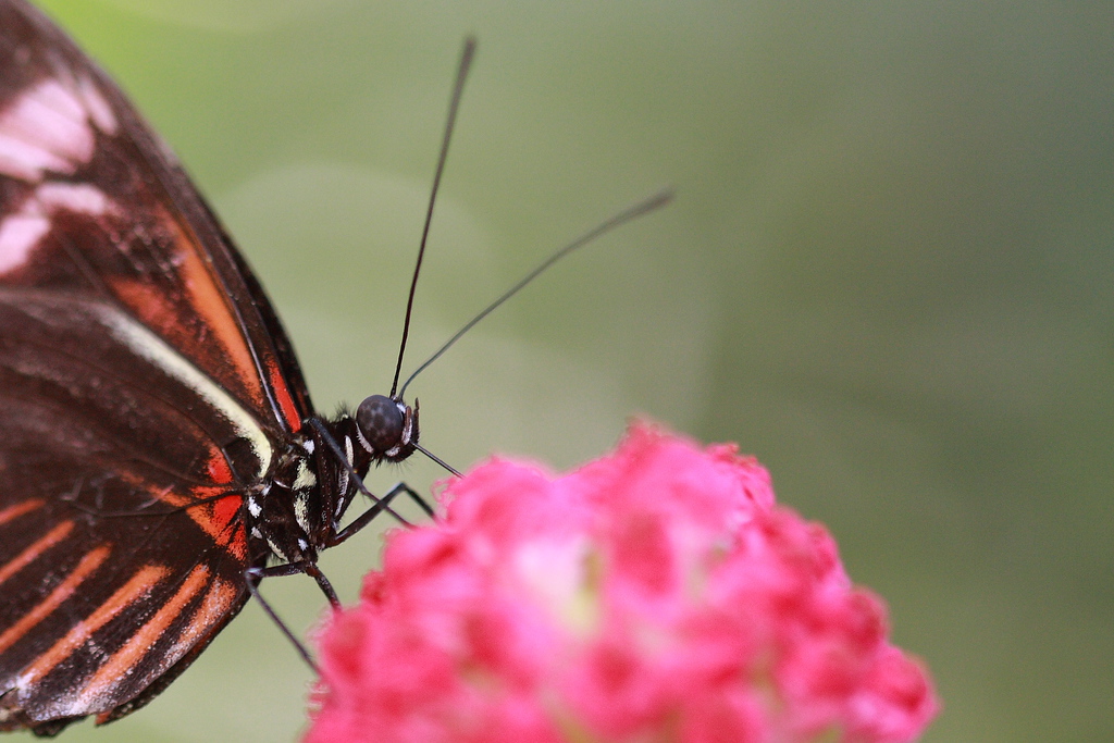 IMAGE: http://funhouse69.smugmug.com/photos/448436201_MPyY7-XL.jpg