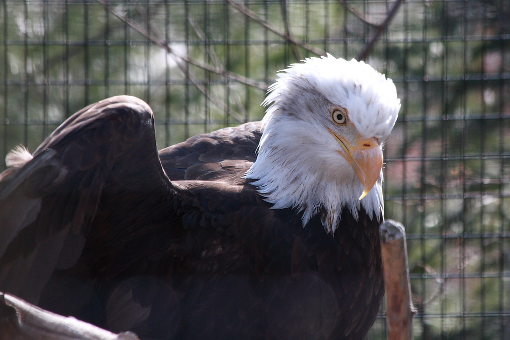 IMAGE: http://funhouse69.smugmug.com/photos/481848054_uM9vf-XL.jpg