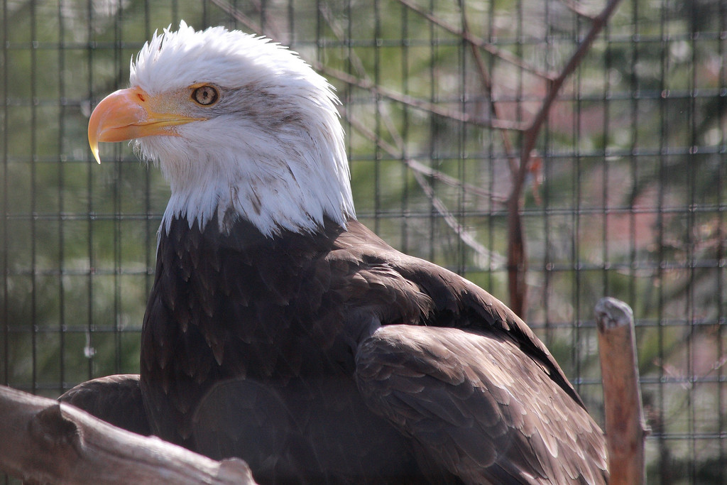 IMAGE: http://funhouse69.smugmug.com/photos/481848265_gfzkE-XL.jpg