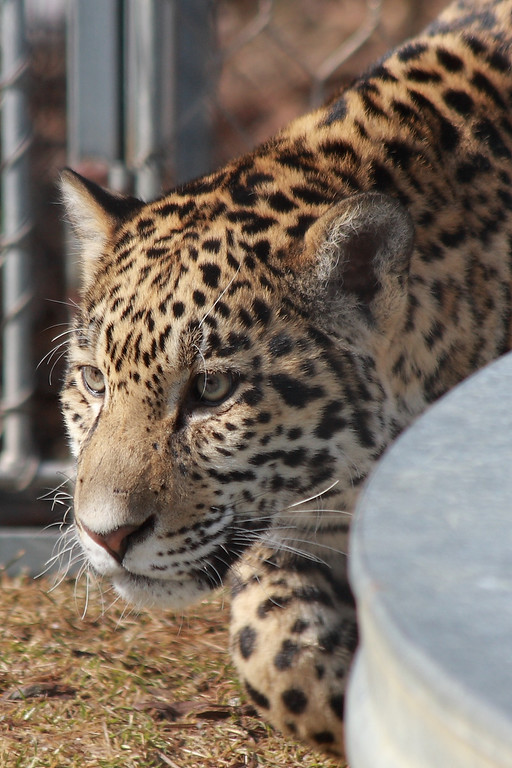 IMAGE: http://funhouse69.smugmug.com/photos/481848945_URwAT-XL.jpg