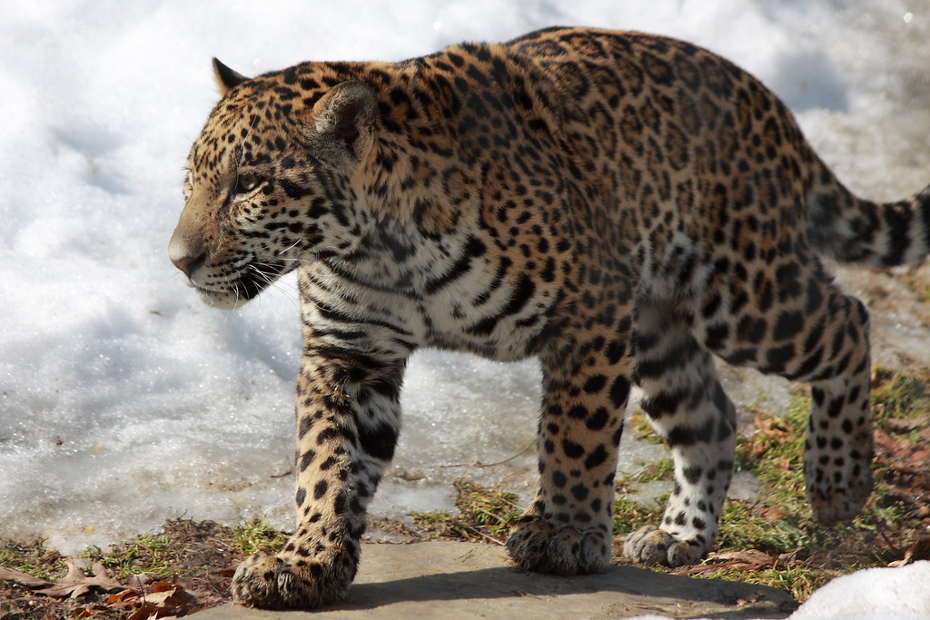 IMAGE: http://funhouse69.smugmug.com/photos/481849177_EPfhg-XL.jpg