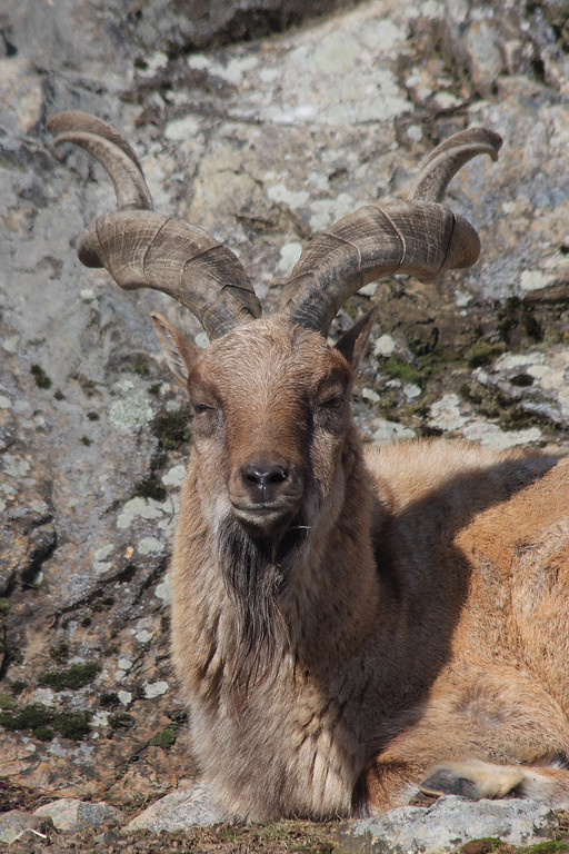 IMAGE: http://funhouse69.smugmug.com/photos/481850445_5HHJZ-XL.jpg