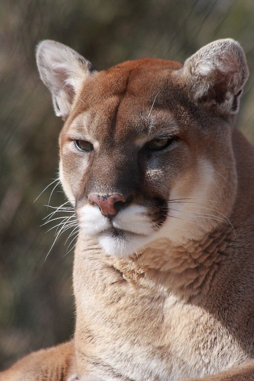 IMAGE: http://funhouse69.smugmug.com/photos/481852045_H65L5-XL.jpg