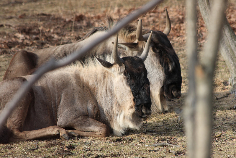 IMAGE: http://funhouse69.smugmug.com/photos/487366290_Wy3oZ-L.jpg