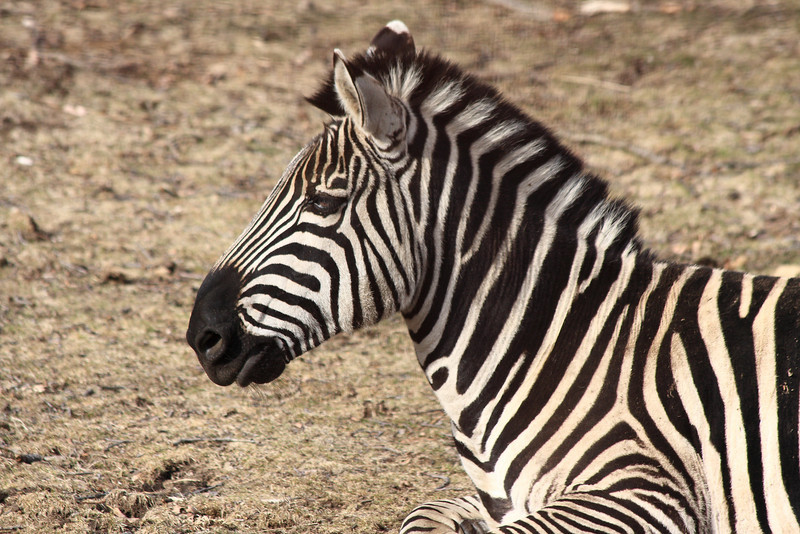 IMAGE: http://funhouse69.smugmug.com/photos/487367341_FRNVX-L.jpg