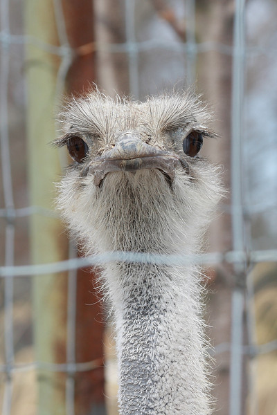 IMAGE: http://funhouse69.smugmug.com/photos/487369334_nfpKv-L.jpg