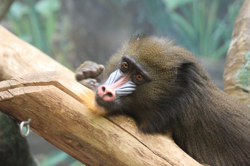 IMAGE: http://funhouse69.smugmug.com/photos/487372208_XQWjK-XL.jpg