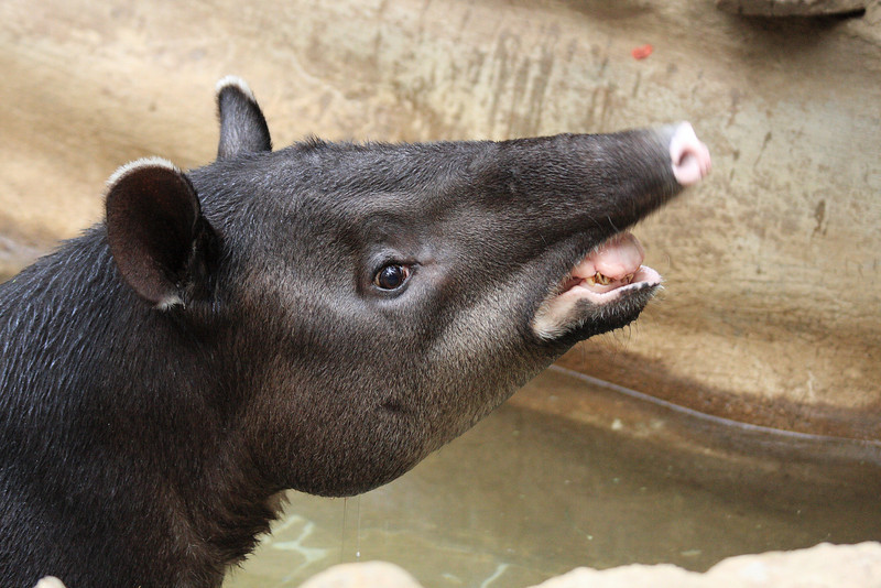 IMAGE: http://funhouse69.smugmug.com/photos/487374209_54CGj-L.jpg