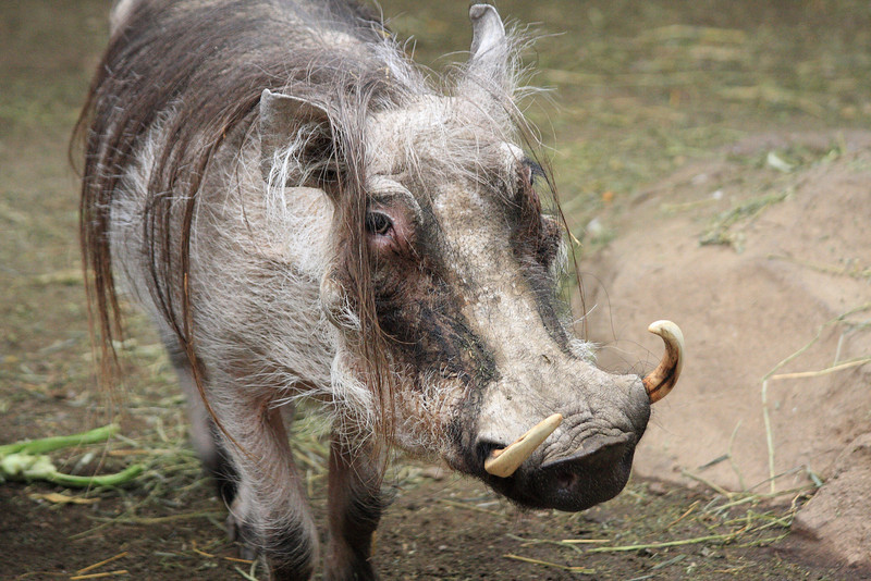 IMAGE: http://funhouse69.smugmug.com/photos/487376453_Ef48U-L.jpg