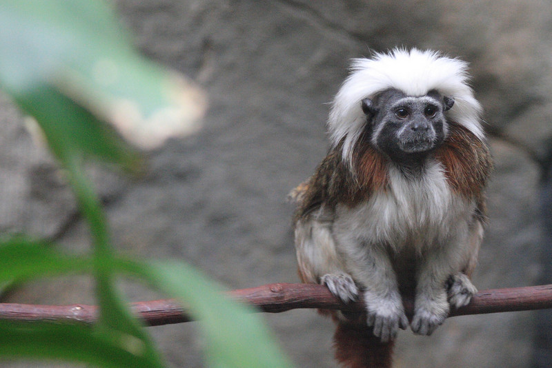 IMAGE: http://funhouse69.smugmug.com/photos/487379854_X4Qma-L.jpg