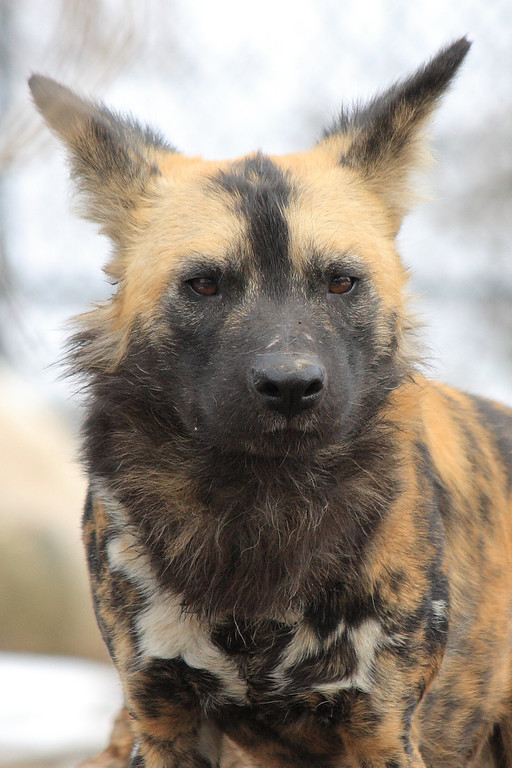 IMAGE: http://funhouse69.smugmug.com/photos/487386821_BZvvP-XL.jpg