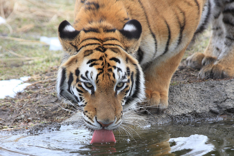 IMAGE: http://funhouse69.smugmug.com/photos/487392841_nvnUn-L.jpg