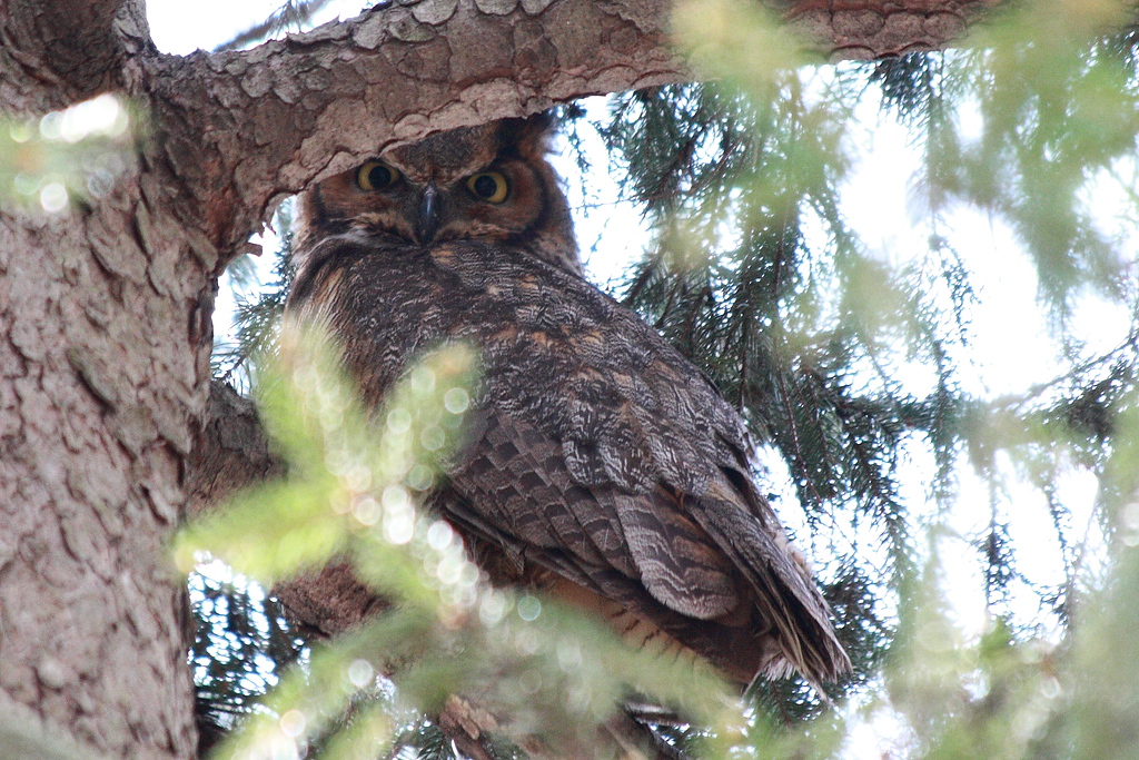 IMAGE: http://funhouse69.smugmug.com/photos/498202245_ev7EA-XL.jpg