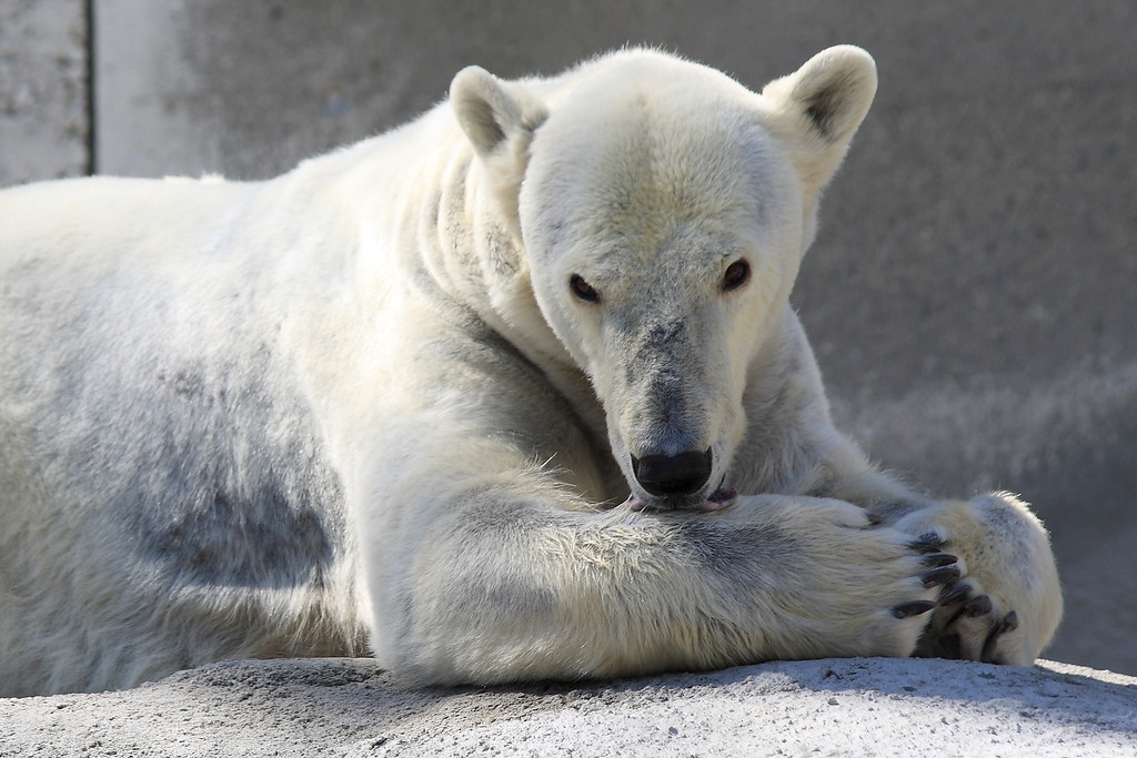 IMAGE: http://funhouse69.smugmug.com/photos/509073518_vAX7B-XL.jpg