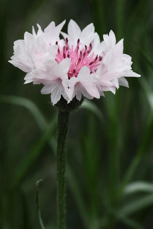 IMAGE: http://funhouse69.smugmug.com/photos/544927166_QFYtC-XL.jpg