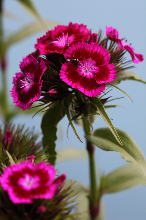 IMAGE: http://funhouse69.smugmug.com/photos/544927664_76cyn-XL.jpg