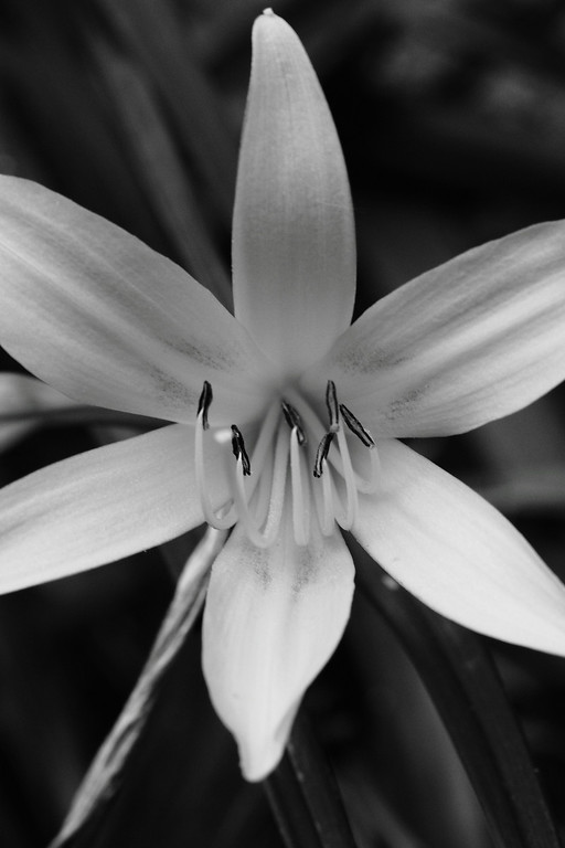 IMAGE: http://funhouse69.smugmug.com/photos/544928339_26Qn3-XL.jpg