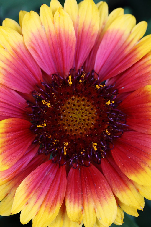 IMAGE: http://funhouse69.smugmug.com/photos/544928812_7t2Fc-XL.jpg